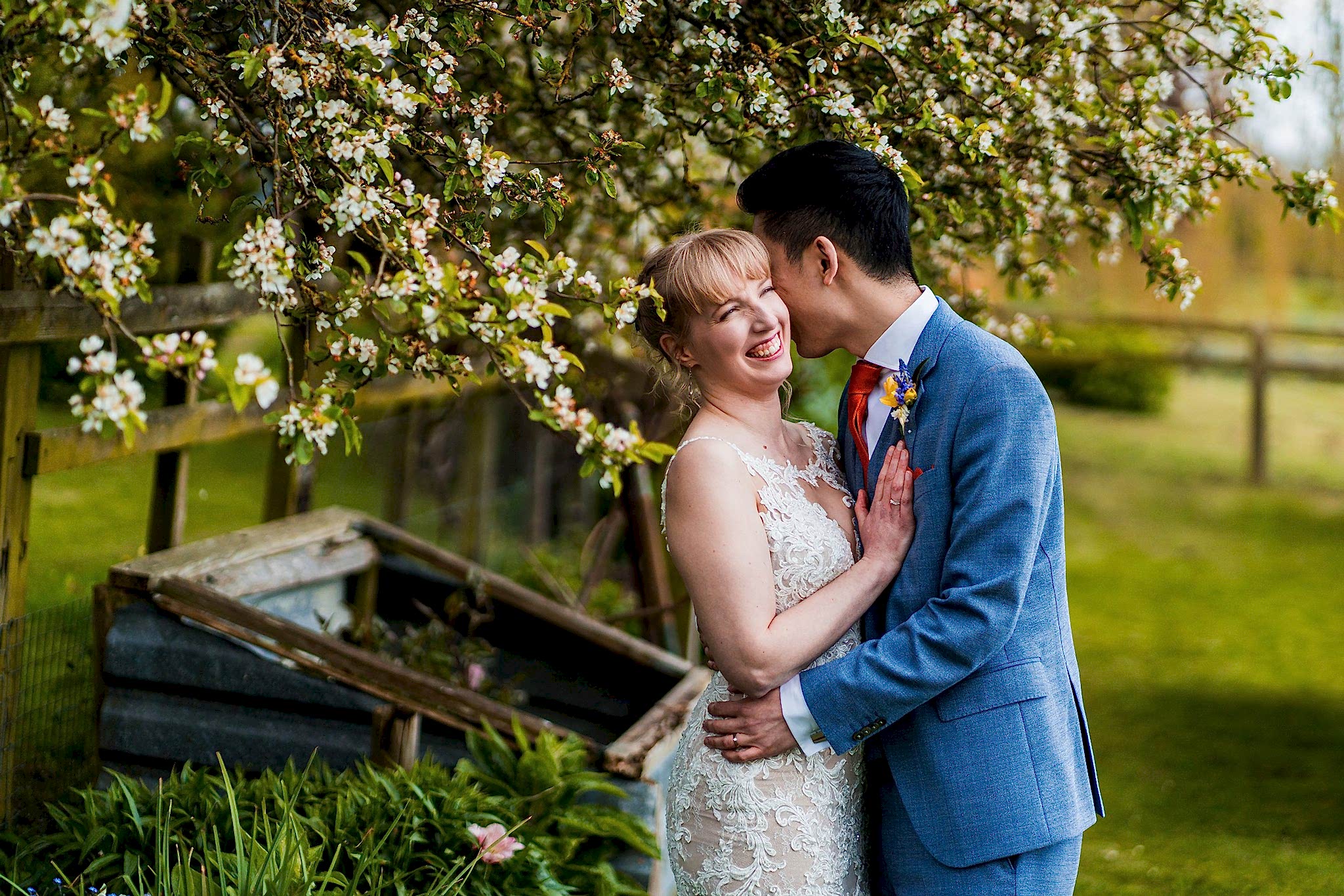 A joyful couple poses under a blooming tree. The bride, in an ornate white dress, smiles brightly as the groom, in a light blue suit, kisses her cheek. They stand in a lush garden with wooden structures and greenery in the background. Image by Documentary Wedding Photographer Lewis Bishop Photography.
