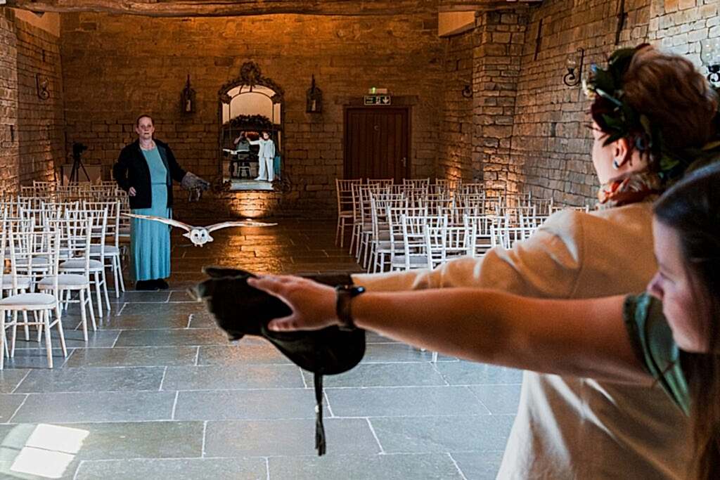 Owl flying indoors at a venue with chairs.